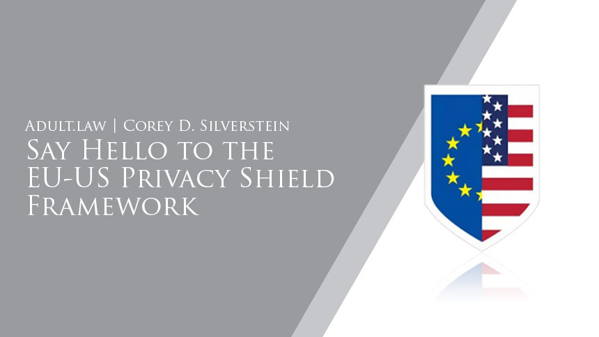 EU-US Privacy Shield with slanted gray background and white serif type overlaying